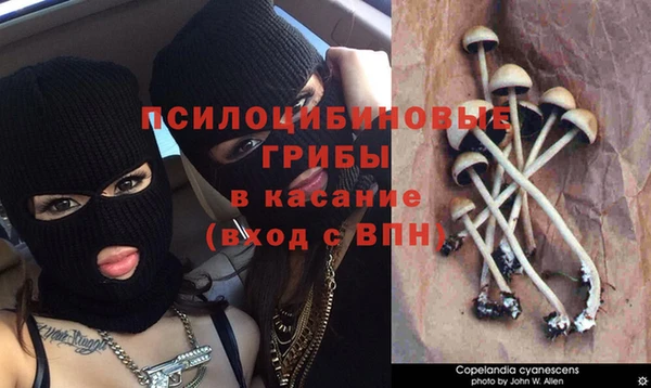 Альфа ПВП Верхнеуральск