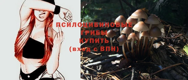 прущий лед Алексин