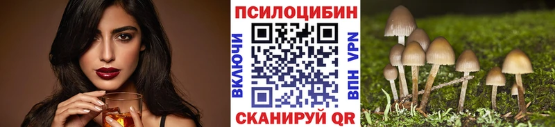 купить  сайты  kraken онион  Галлюциногенные грибы Psilocybine cubensis  Железногорск 
